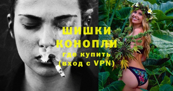шишки Верхний Тагил