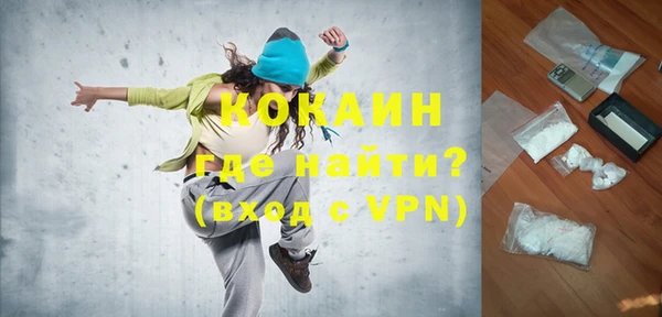 шишки Верхний Тагил