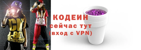 шишки Верхний Тагил