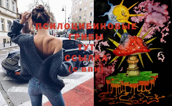шишки Верхний Тагил