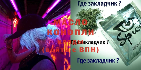 шишки Верхний Тагил