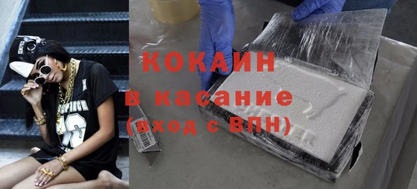 шишки Верхний Тагил