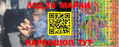 мдпв Жуковский