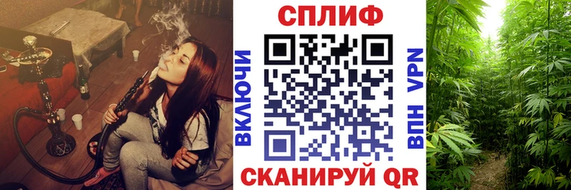 Канабис тримм  закладки  Вятские Поляны 